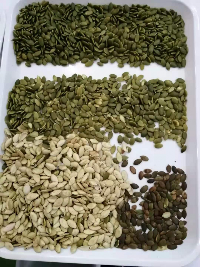 (ويانيو) أحدث أجهزة تصنيف الألوان 11