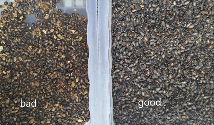 (ويانيو) أحدث أجهزة تصنيف الألوان 12