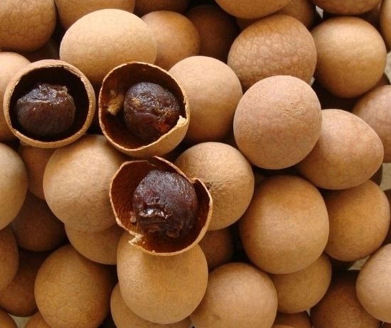 وينيو عالية الخصوبة الفواكه المجففة آلة فرز بصرية الخوخ المجفف الخوخ التين تصنيف اللون لصناعة معالجة الفواكه 8