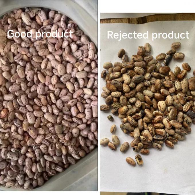 وينيو مصنع ذكي بيع مباشر الكلى الفاصوليا الفول السوداني البازلاء آلة فرز اللون 10