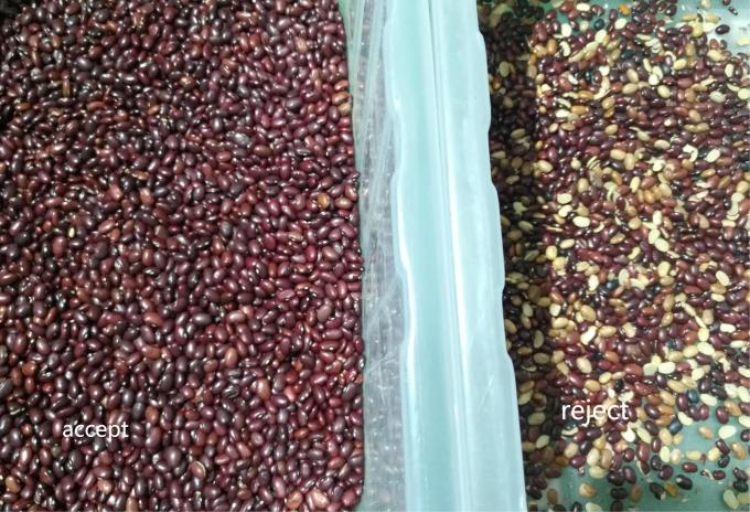 آلة فرز الألوان البصري الذكية عالية الدقة للفاصوليا والكلى والفاصوليا الحمراء 10