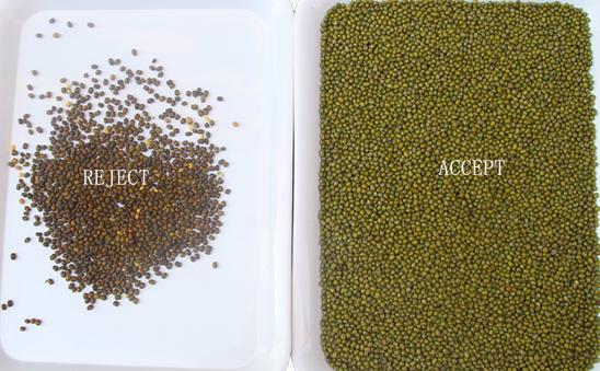 وينيو مصنع ذكي بيع مباشر الكلى الفاصوليا الفول السوداني البازلاء آلة فرز اللون 12