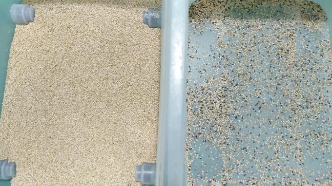 فانيو الصينية المصنع 7 أسلوب شوت تكنولوجيا عالية الحبوب السمسم آلة فرز لون 4