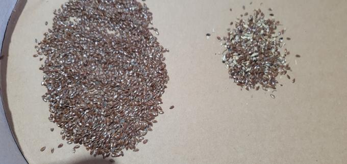 وينيو 2025 بيع الساخن بذور تصنيف كامل أوتوماتيكي بذور الشيا بذور الكتان آلة تصنيف لون 13