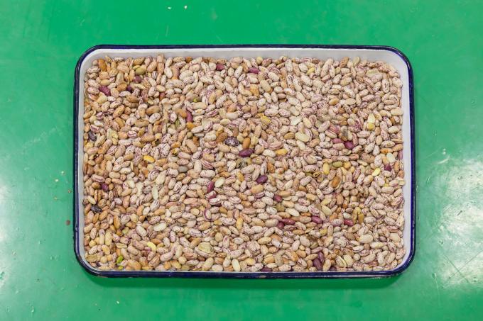 (وينيو) أحدث جهاز تحكم عن بعد ذكي للحبوب الحمراء الكلى الفولية آلة فرز الألوان 4