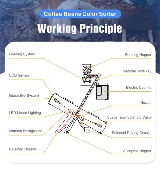 كاميرا سي سي دي متعددة الوظائف خضراء و محمصة آلة فرز لون حبوب القهوة 3