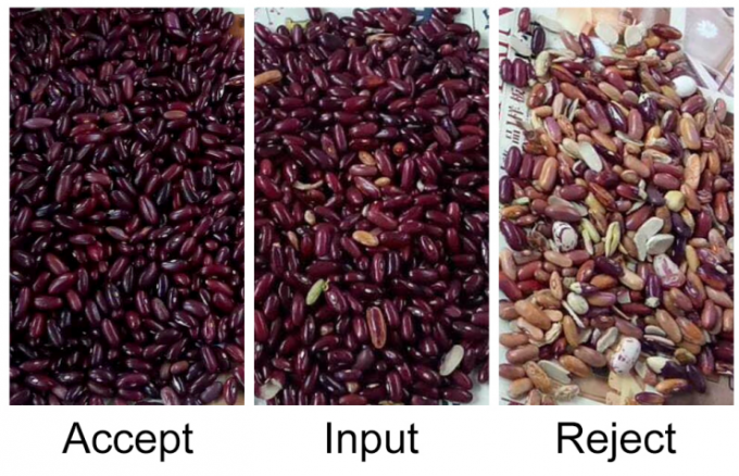 آلة فرز الألوان البصري الذكية عالية الدقة للفاصوليا والكلى والفاصوليا الحمراء 9