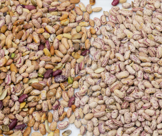 آلة فرز الألوان البصري الذكية عالية الدقة للفاصوليا والكلى والفاصوليا الحمراء 11