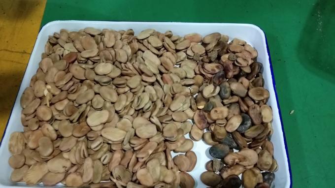 آلة تصنيف عالية الأداء من نوع Wenyao الكلى الفاصوليا البرازيل الفاصوليا آلة تصنيف اللون 5