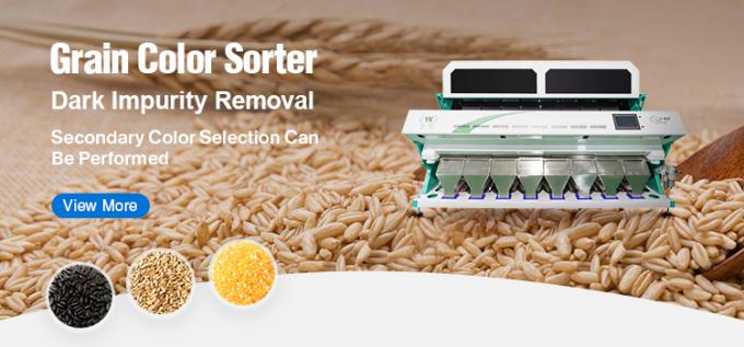 ماكينات مزرعة وينياو مصنعة تصنيف ضوئي مصنع تصنيف لون القمح 5