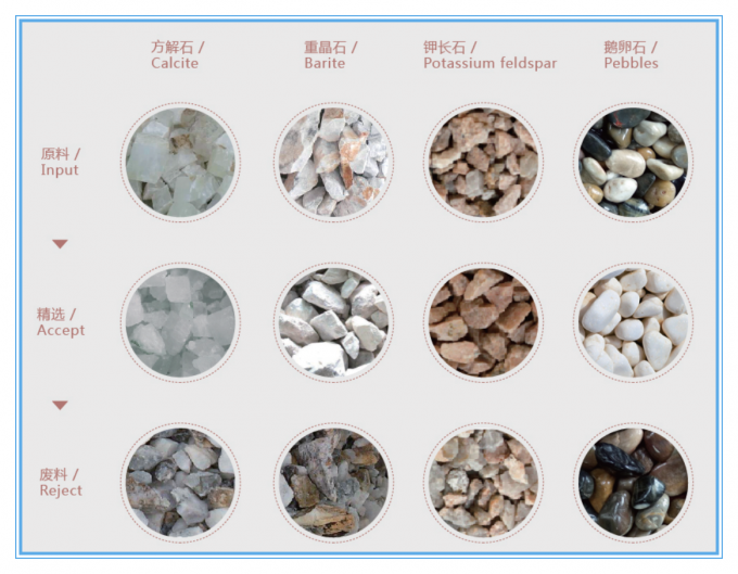 آلة فرز الألوان بالحزام بطول 1200 مم لمعالجة الحبوب والأرز الخام بدقة 99.99% 2