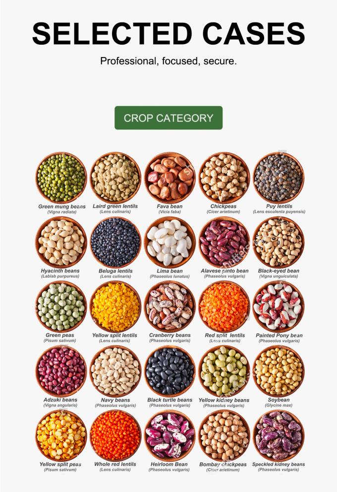 WENYAO معلمات قابلة للتعديل للفرز عالي السرعة لخطوط فرز الحبوب فارز بصري 8