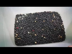 الفاصوليا السوداء