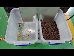 ساشا إنشي تصنيف اللون