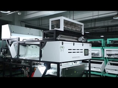 طراز لون الفلفل