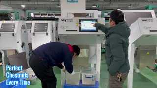 مصفف ألوان الكستناء